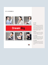 Dream Big 2011년 통합보고서