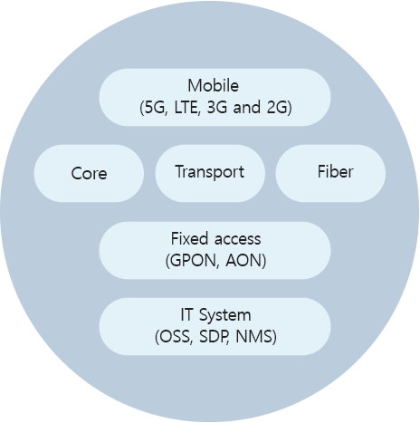 Mobile(5G, LTE,3G and 2G), Core, Transport, Fiber, Fixed access(GPON, AON), IT System(OSS, SDP, NMS)