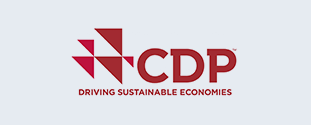 CDP(DRIVING SUSTAINABLE ECONOMISES)